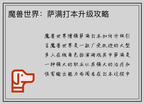 魔兽世界：萨满打本升级攻略