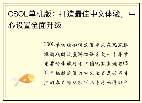 CSOL单机版：打造最佳中文体验，中心设置全面升级